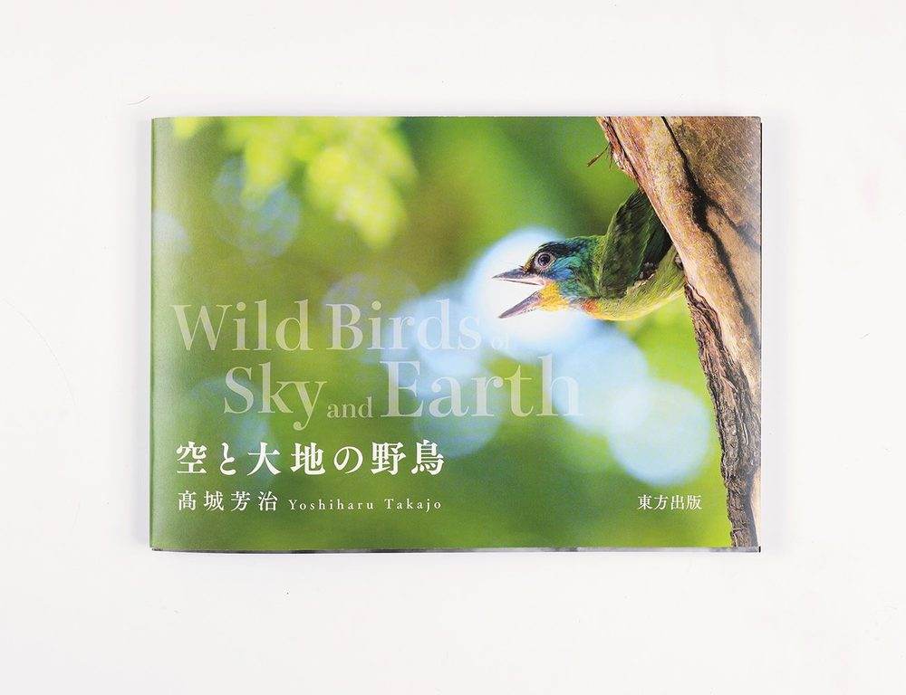 空と大地の野鳥