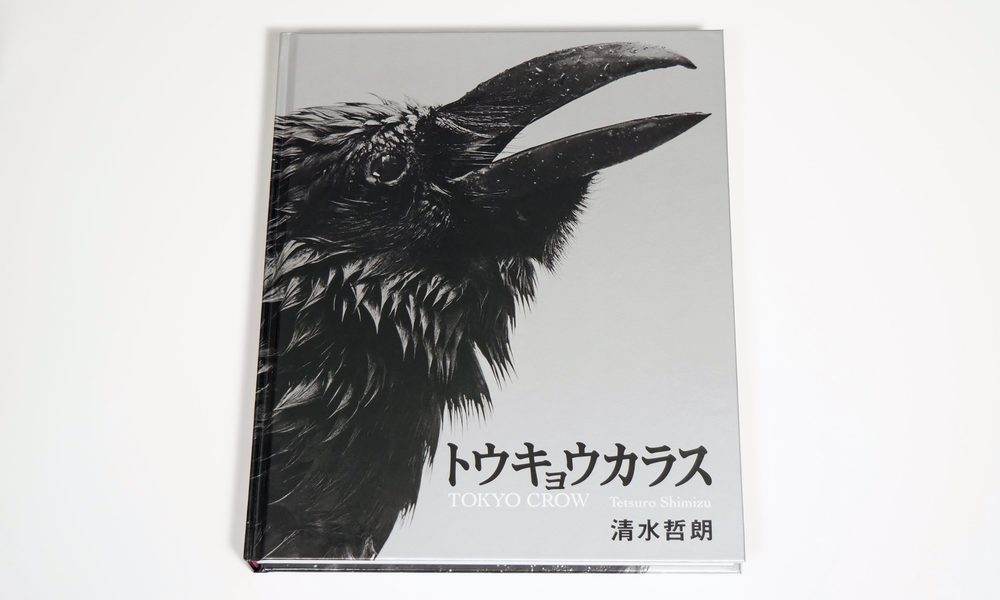 トウキョウカラス